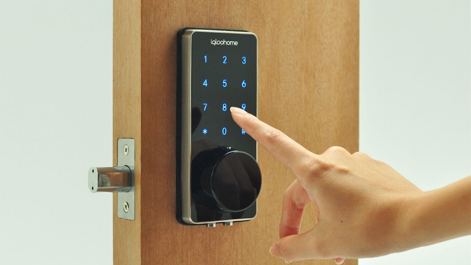 How Smart Door Lock Suppliers Ensure Data Privacy and Cybersecurity