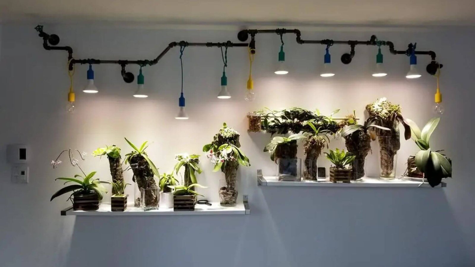 How to Create the perfect lighting environment for indoor gardening