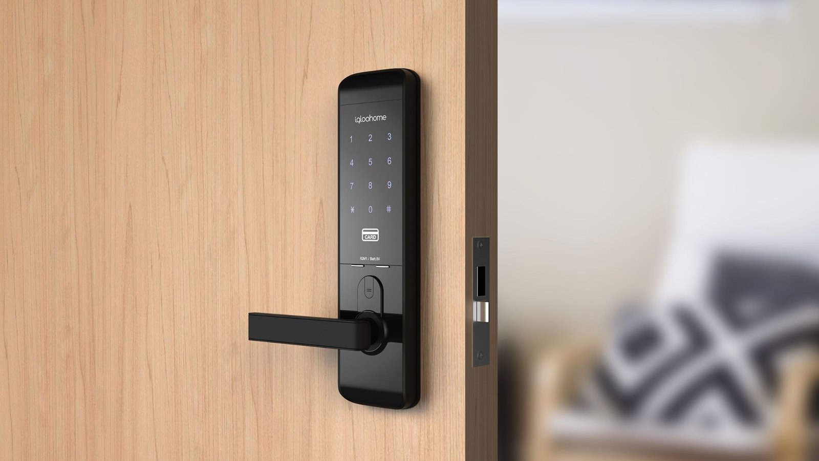 How Smart Door Lock Suppliers Ensure Data Privacy and Cybersecurity